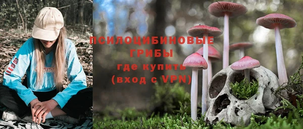 мяу мяу кристалл Медвежьегорск